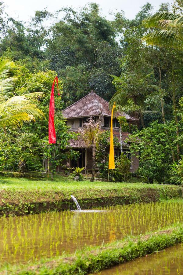 Prana Dewi Mountain Resort Джатилувих Экстерьер фото